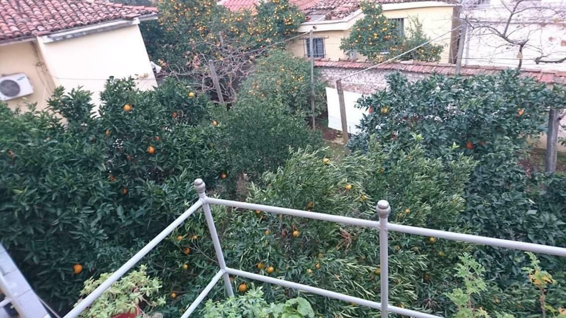 Orange Villa Hotel Tirana Exterior photo